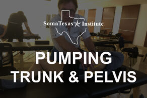 Pumping of the Trunk & Pelvis • February 5-7, 2027