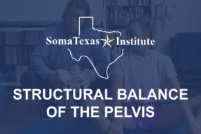 Structural Balance of the Pelvis • November 22-23, 2025
