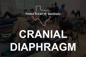 Cranial Diaphragm • August 3-5, 2026