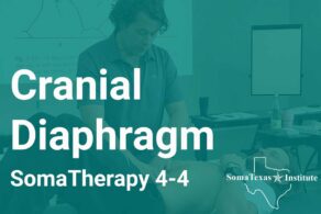 Cranial Diaphragm • August 3-5, 2026