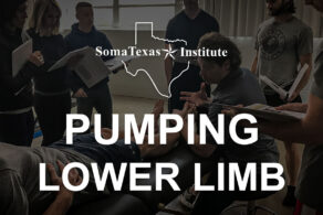 Pumping Lower Limb • June 5-7, 2026