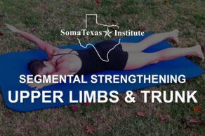 Segmental Strengthening of the Upper Limbs & Trunk • November 2026