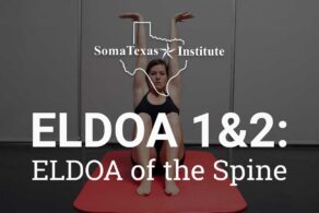 ELDOA 1&2: ELDOA of the Spine • December 10-13, 2026