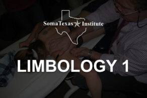 Limbology 1 • February 24-27, 2027